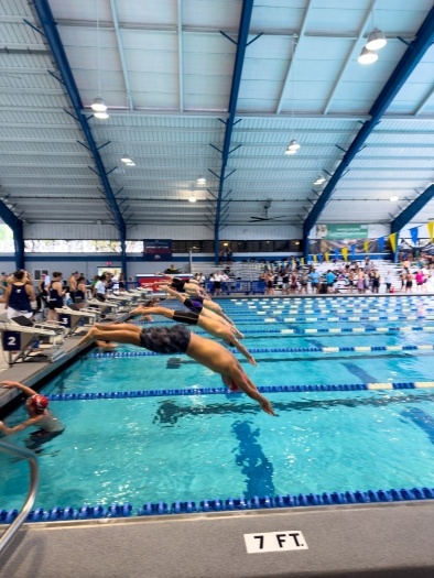 A row of swimmers diving into an indoor pool at the beginning of a race. 